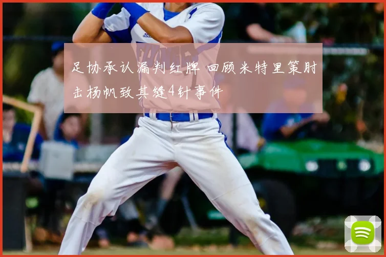 足协承认漏判红牌 回顾米特里策肘击杨帆致其缝4针事件