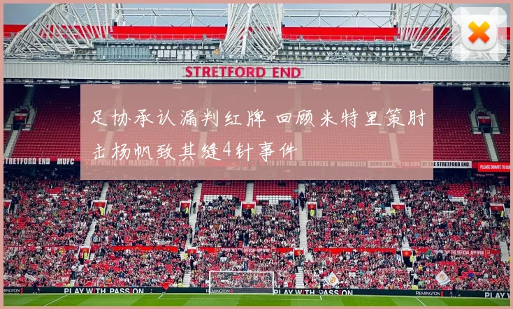 足协承认漏判红牌 回顾米特里策肘击杨帆致其缝4针事件