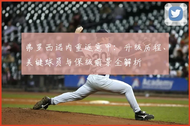弗罗西诺内重返意甲:升级历程、关键球员与保级前景全解析